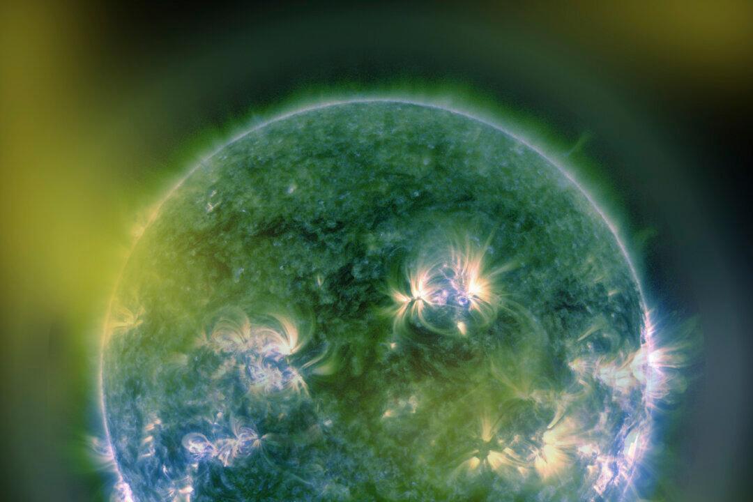 Strong Magnetic Fields Are Hiding Deep Inside Stars