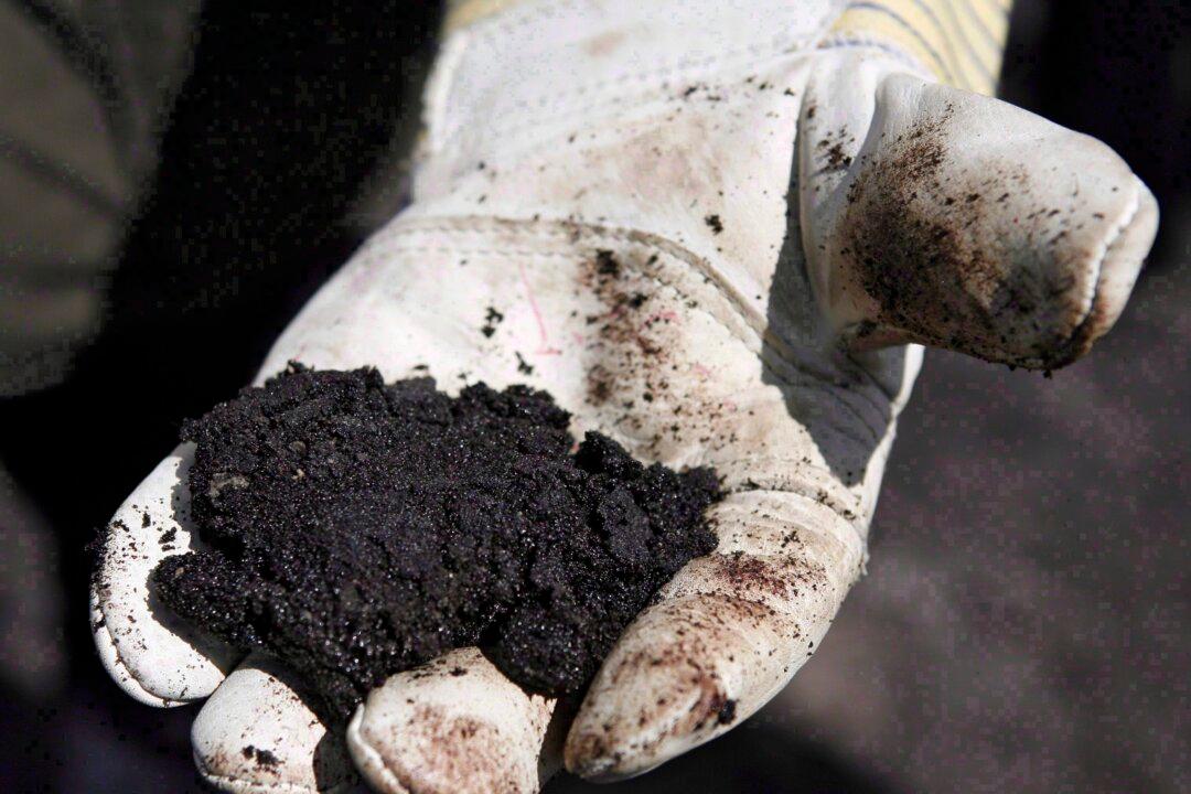 Business Hiring, Investment Outlooks Hit Lowest Levels Since ‘09, Says BoC