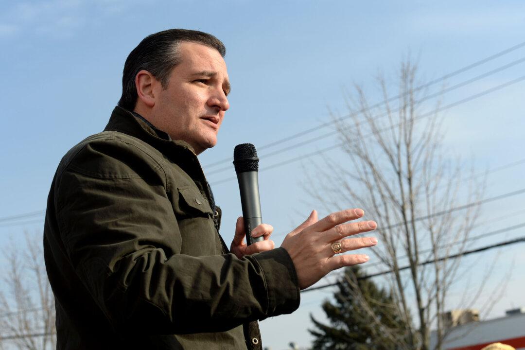 Cruz Joined Fight for Gun Rights as Political Fortunes Rose