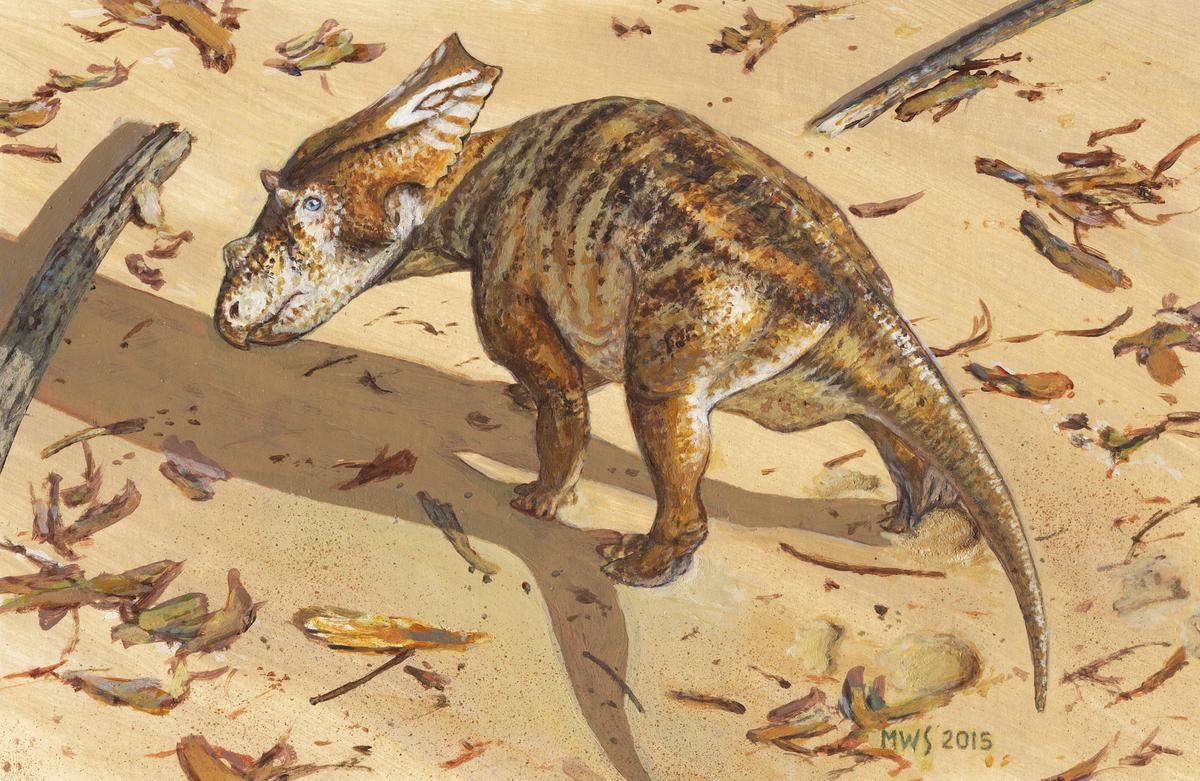 Findings on Fossil of 75 Million-Year-Old Baby Dinosaur Released