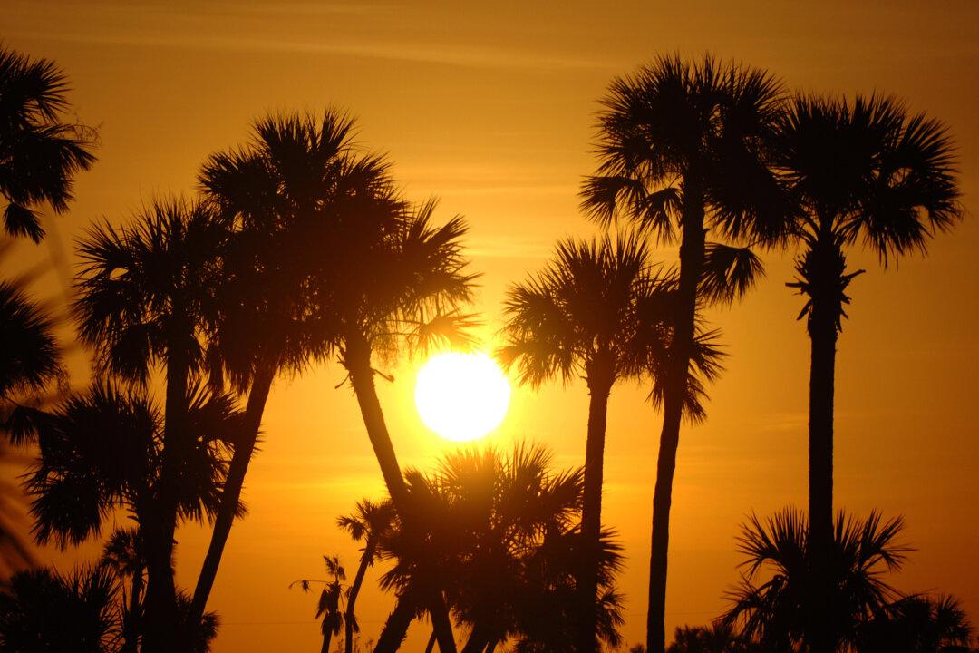 NASA: 2015 Was Hottest Year in Recorded History