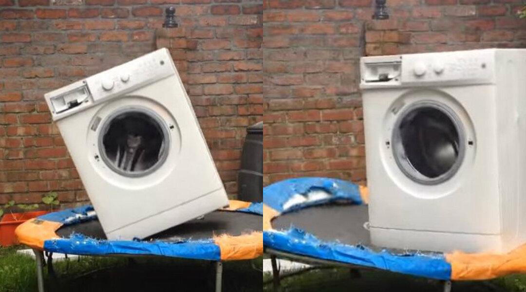 WATCH: Chaos a Brick Causes in a Washing Machine Bouncing on a Trampoline