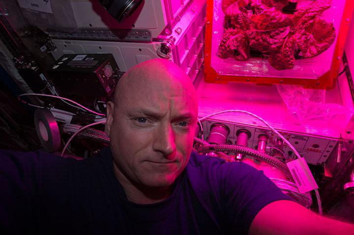 First Flower Blooms in Space, Key to Living on Mars