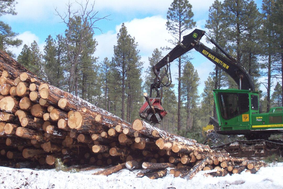 Rural School Districts Within US National Forests Brace for Funding Loss