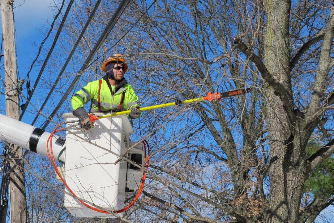 After Sandy Upgrades, Power Stays on During Blizzard