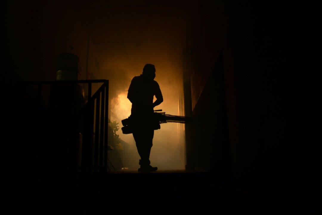 What Really Threatens America: Zika, Cancer, or ISIS?