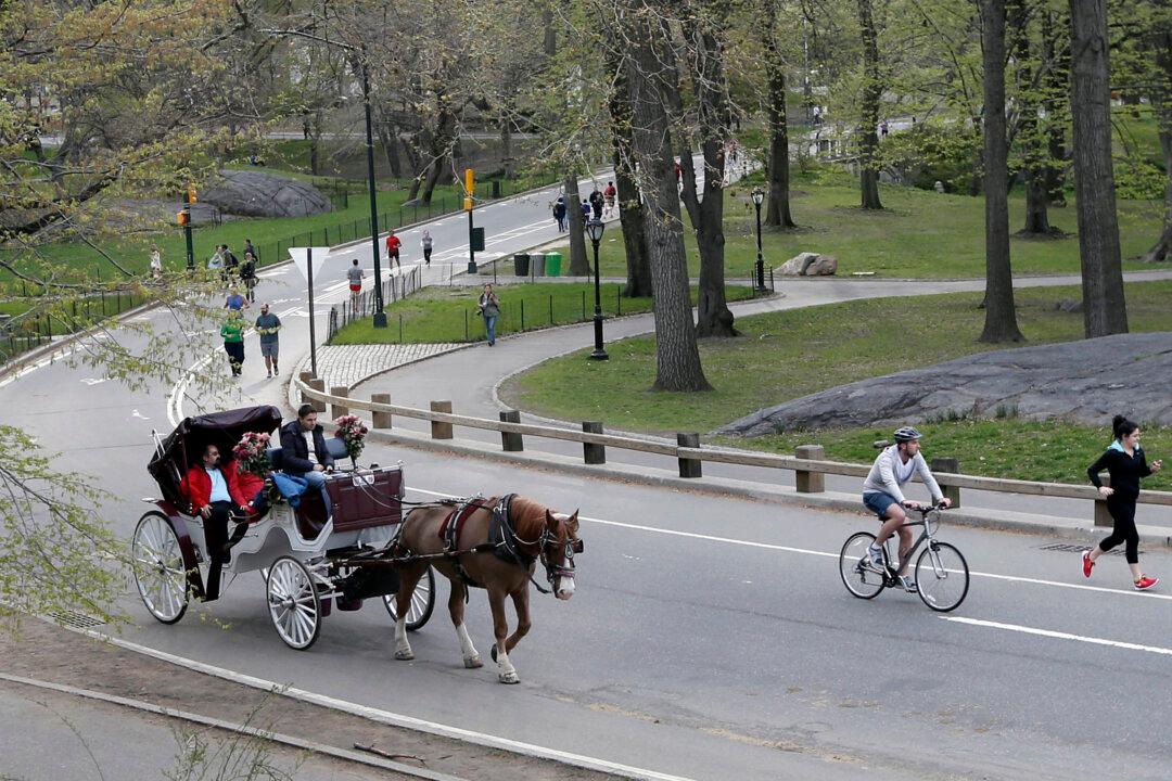 Letters on Horse-Drawn Carriages