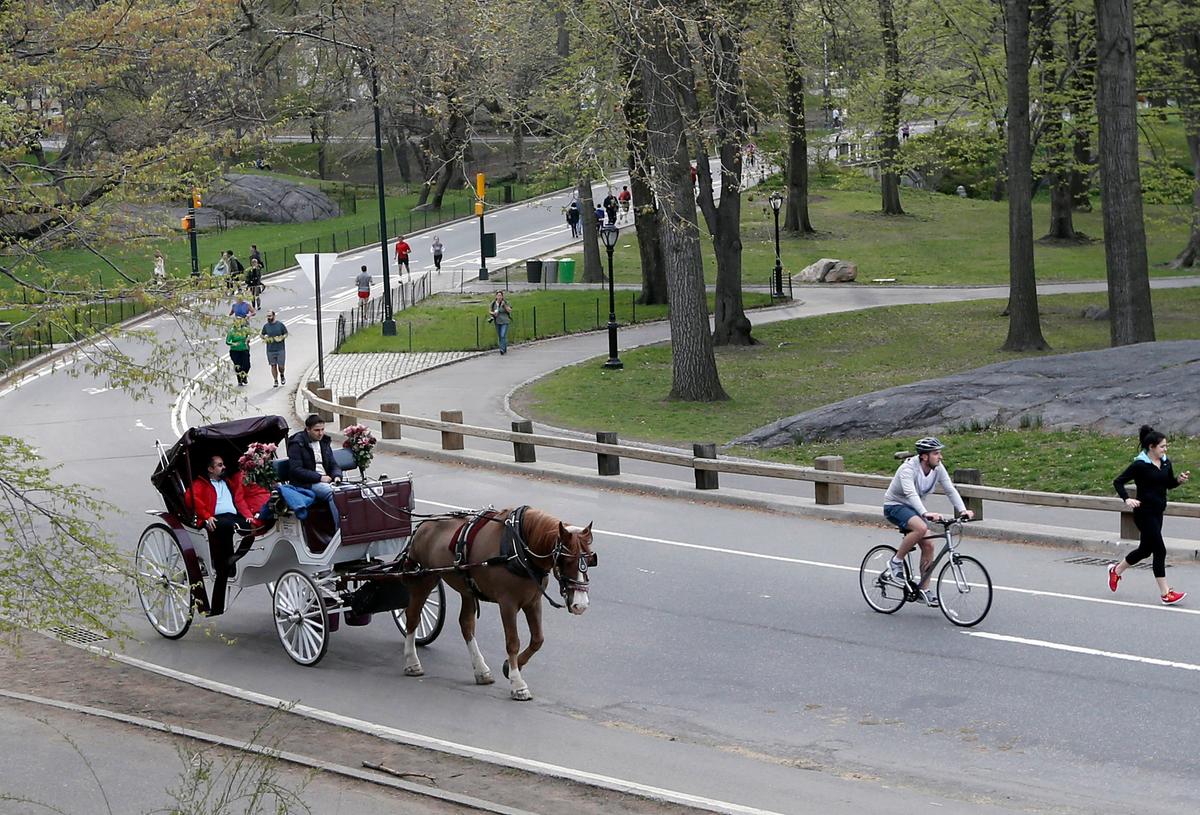 Letters on Horse-Drawn Carriages