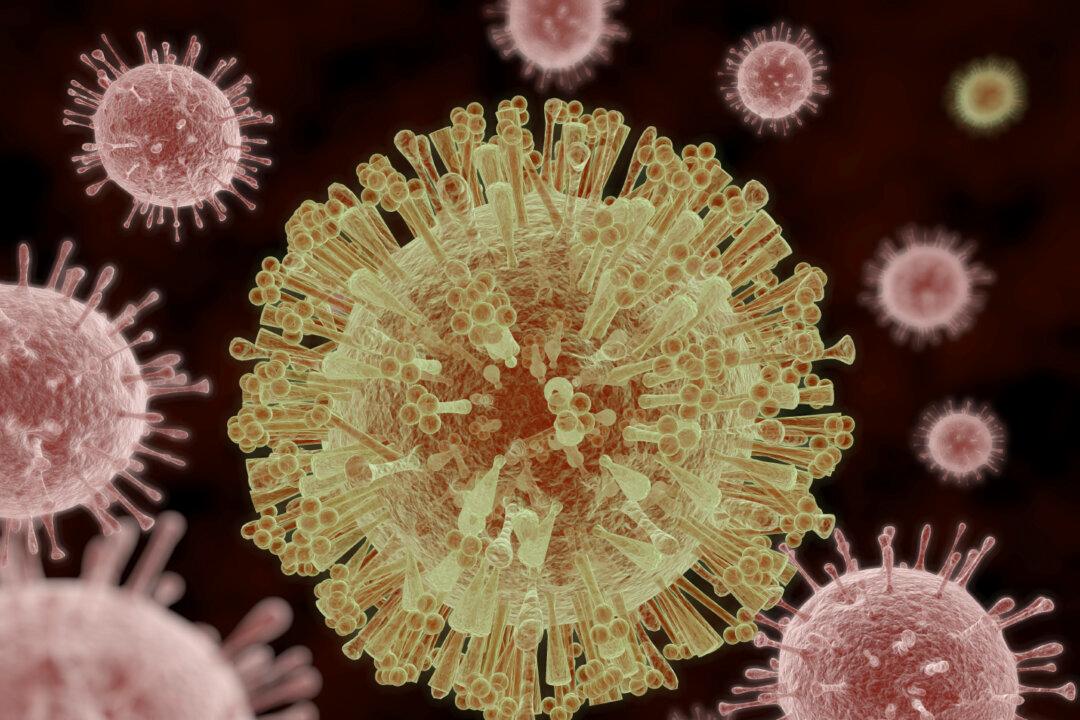 The Zika Breach of Public Trust: The Wealth Transfer Model From US Taxpayers to Big Pharma