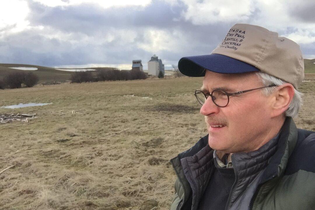 Farmer Reveals the Surprising Potential of Pulses: Healthy, Low-Cost Protein for All