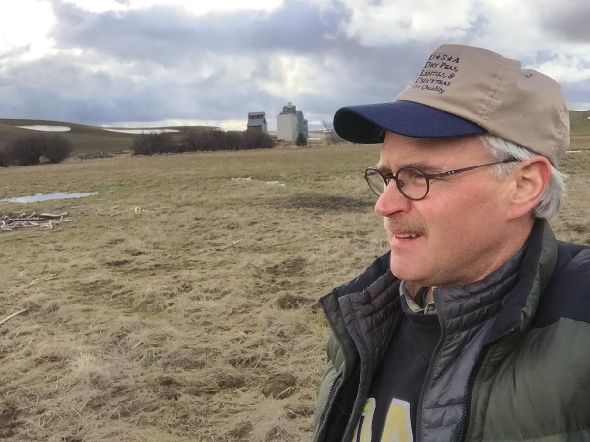 Farmer Reveals the Surprising Potential of Pulses: Healthy, Low-Cost Protein for All