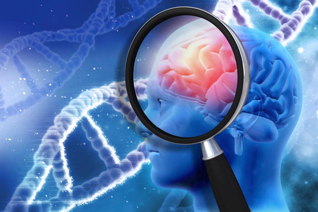 How Powerful Is the Human Brain Compared to a Computer?