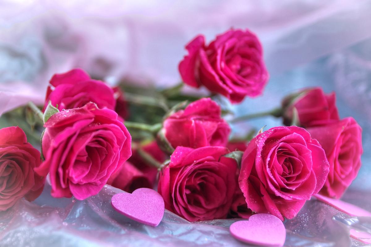 Shen Yun Is a Special Gift for Valentine’s Day