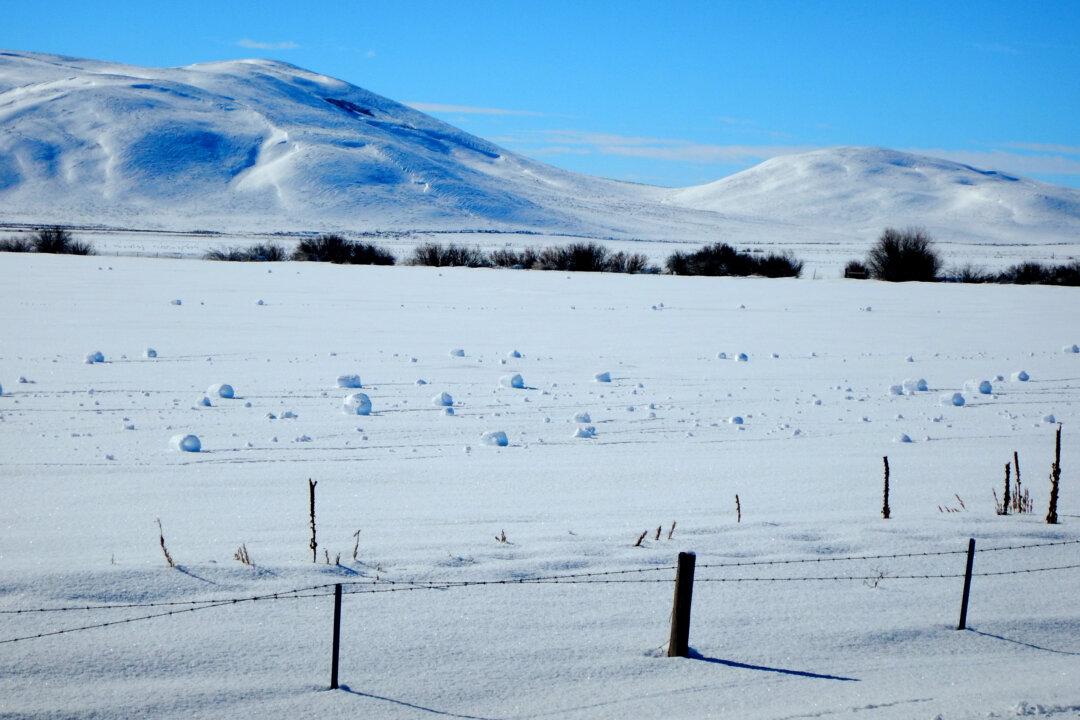 Rare Weather Event Produces Spontaneous Snowballs in Idaho