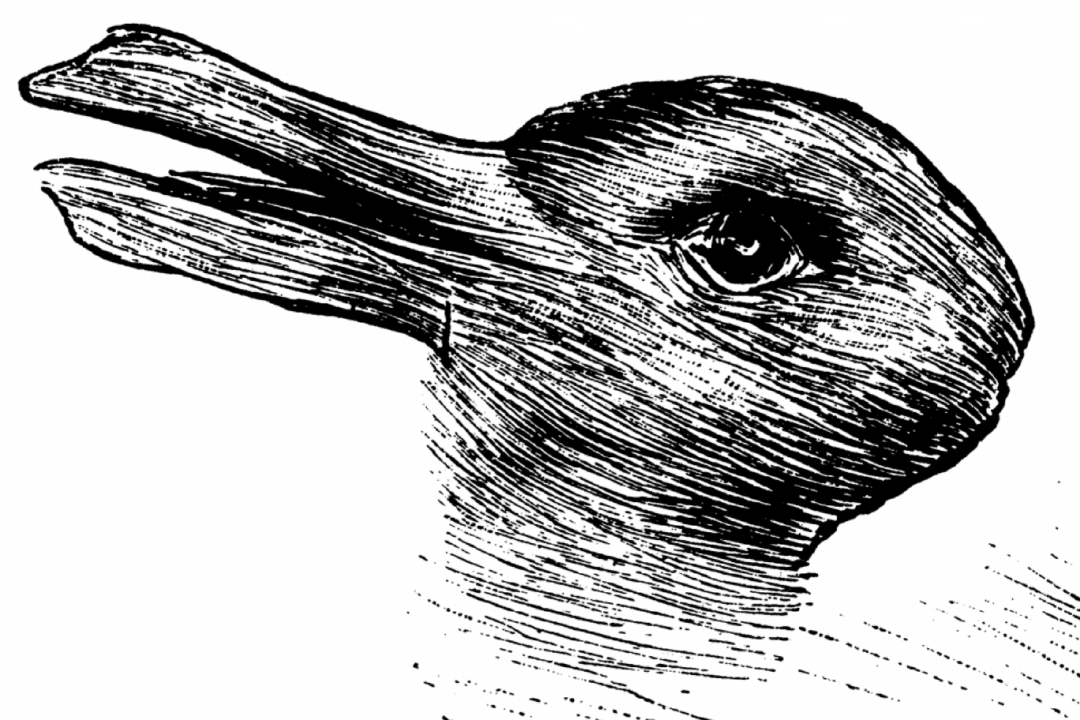 Do You See a Rabbit or a Duck in This Drawing From 1892?