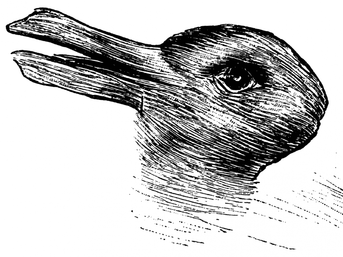 Do You See a Rabbit or a Duck in This Drawing From 1892?