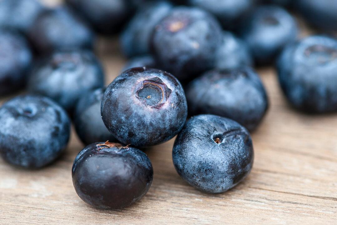 Blueberries Increase Immunity and Reduce Blood Pressure