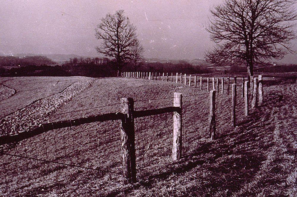 If You’re Hiking Around And See a Purple Fence or Trees, Pay Heed