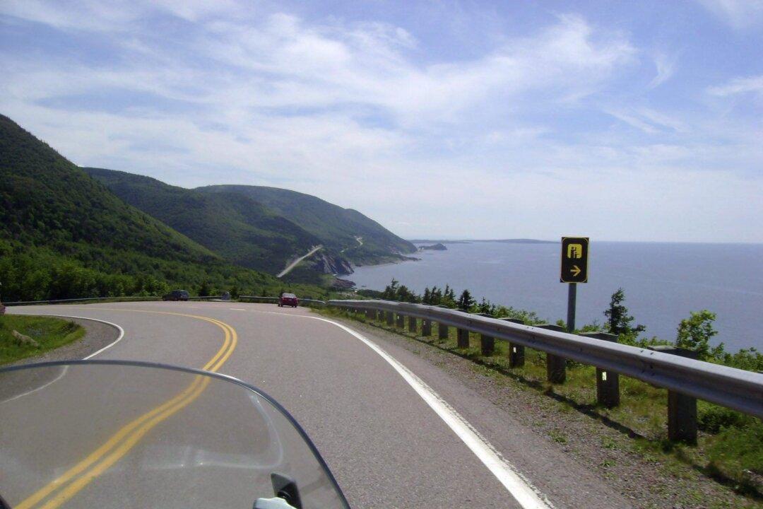 Cheeky Cape Breton Website Offering Escape From Trump Sparks Surprising Reaction