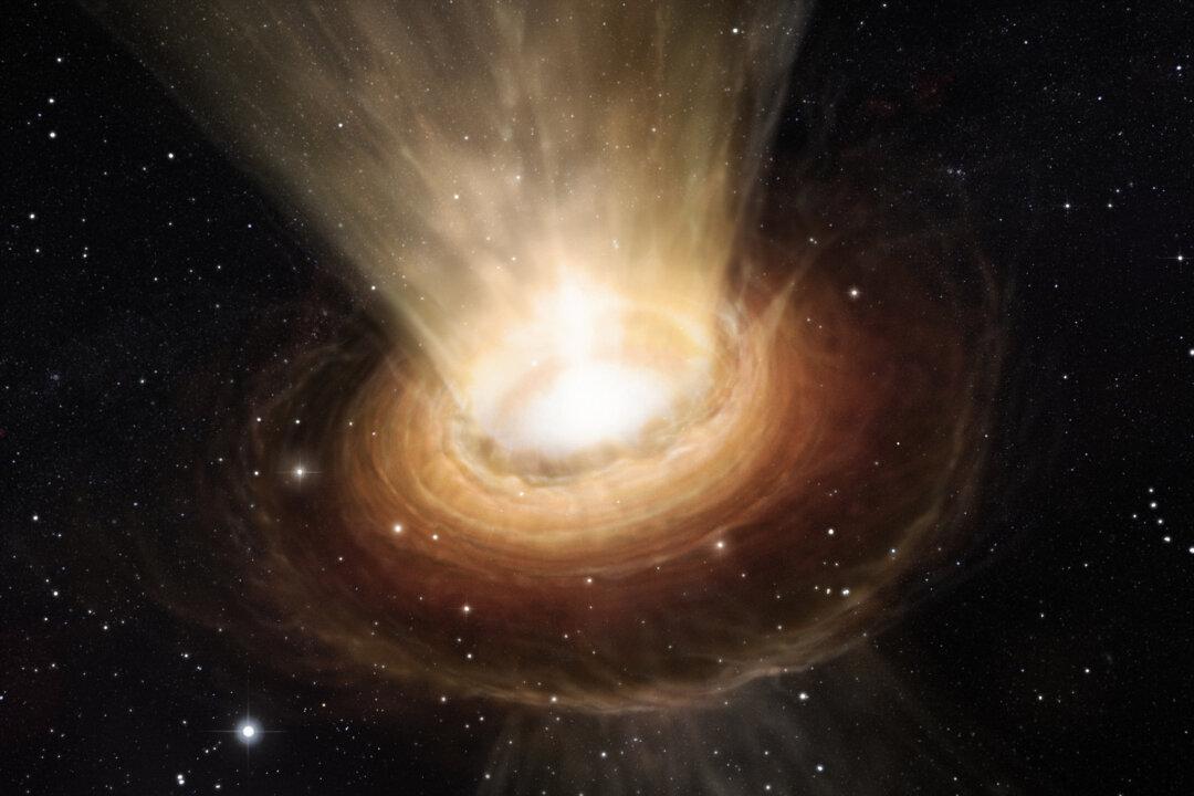 How Did the Odd Black Holes Detected by LIGO Form and Can We Spot Them in the Sky?