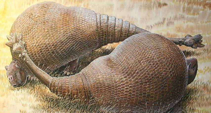 Glyptodonts, Extinct Animals, Were Close Relatives of Giant Armadillos