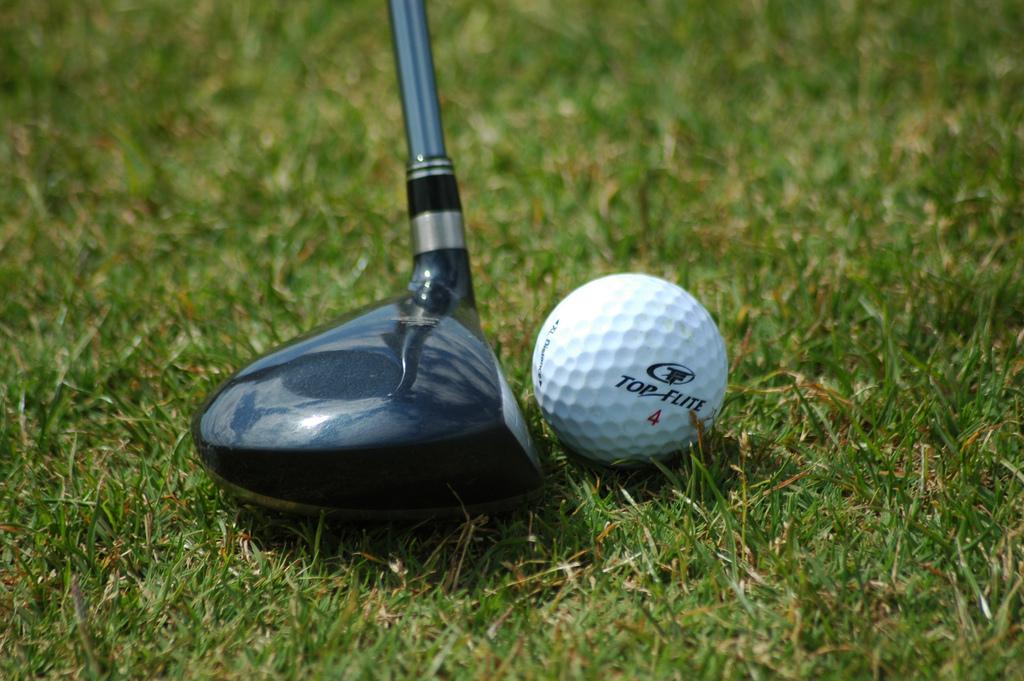 Dog Swallows 5 Golf Balls, Forced to Get Surgery