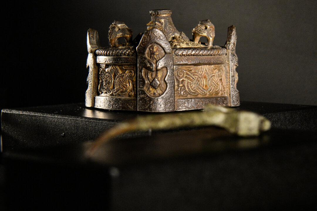 Putting a Human Face on the Vikings