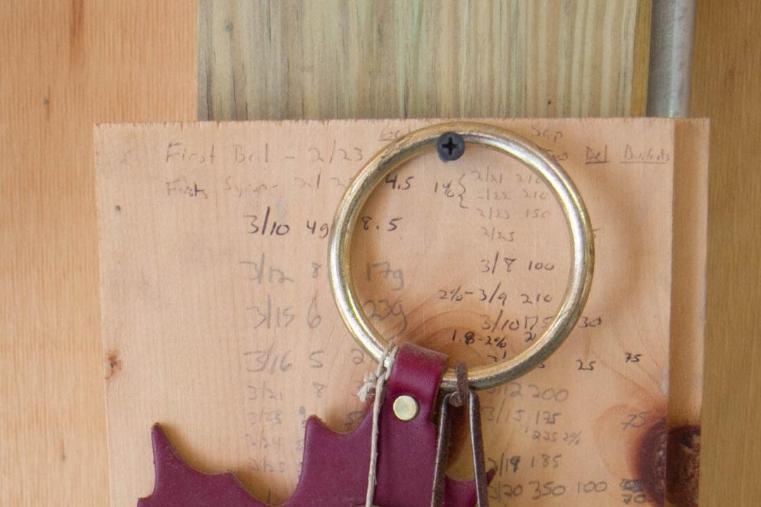 Photo Gallery: Maple Syrup Making with Finding Home Farms