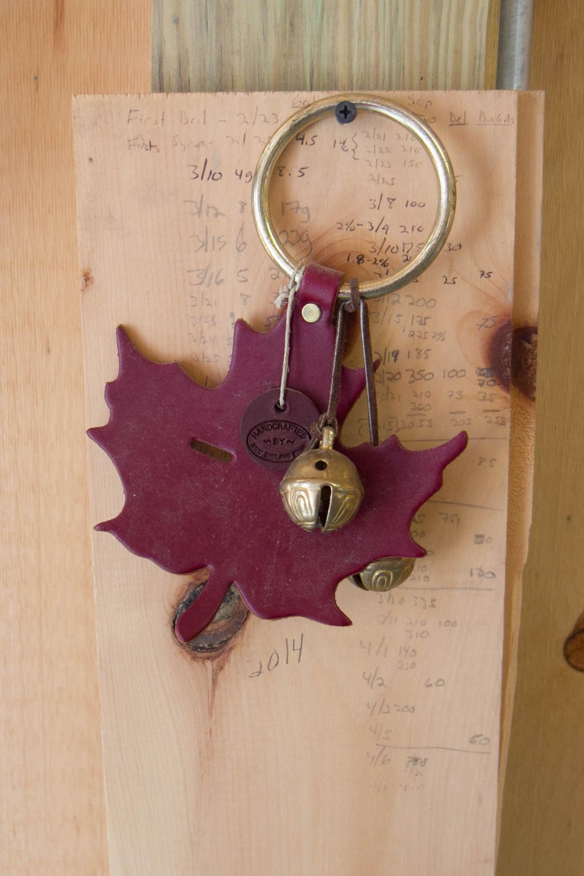 Photo Gallery: Maple Syrup Making with Finding Home Farms