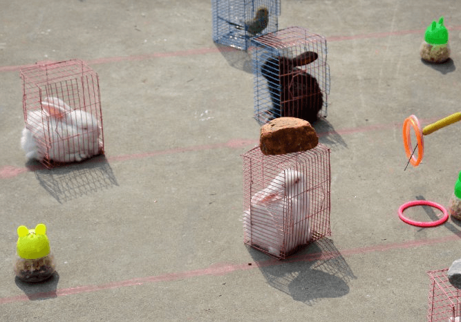 Pictures: This Chinese Game Rewards Players With Small Animals Trapped in Ridiculously Tiny Cages