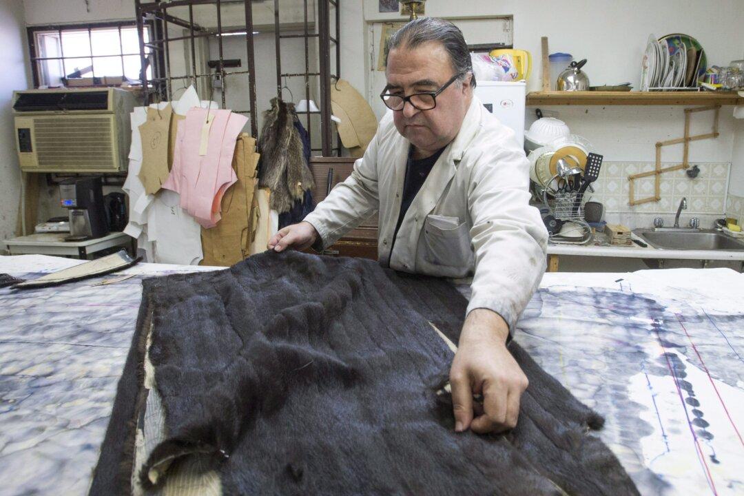 Montreal Furriers Still Practising Trade Amid Changing Times