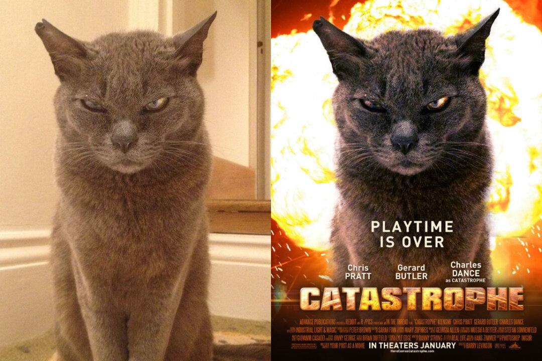 Mysterious Artist Turns Hundreds of Reddit Posts Into Amazing Movie Posters