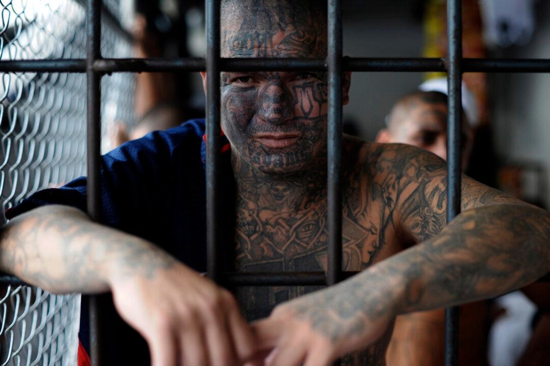 MS-13 Gang Member Sentenced to 20 Years for Machete Attack