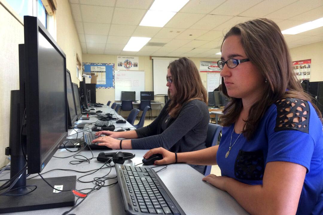 US Schools Targeted for Cyberattack: Reports