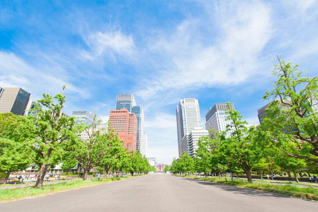 If Planners Understand It’s Cool to Green Cities, What’s Stopping Them?