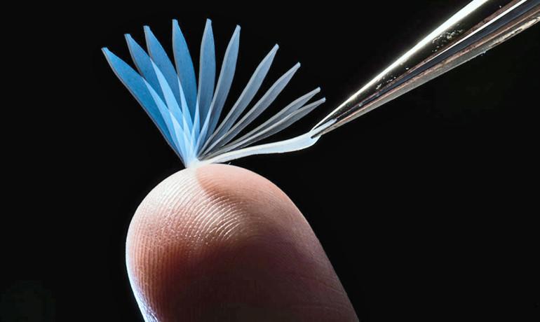 Watch: Body Heat Makes This Polymer Do a Cool Trick