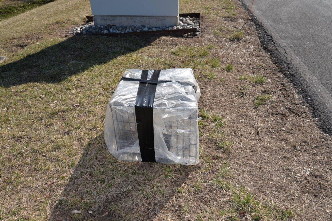 Dog Found Dead Inside Cage Wrapped in Plastic in Montgomery County, Pennsylvania