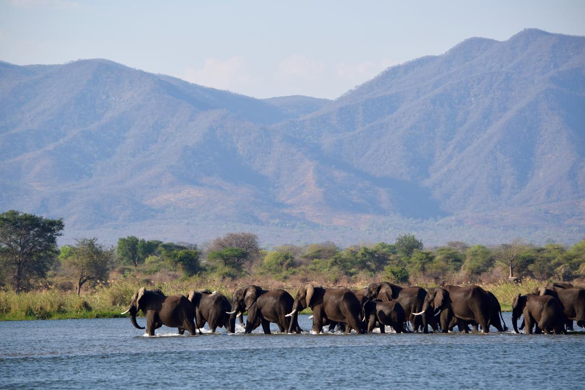 Zimbabwe: The Comeback Country