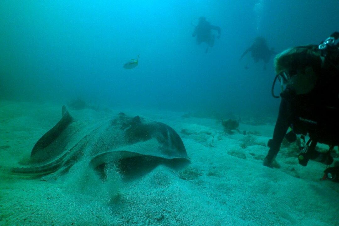 Shipwreck Diving and Star Gazing in the Genuine Florida Keys