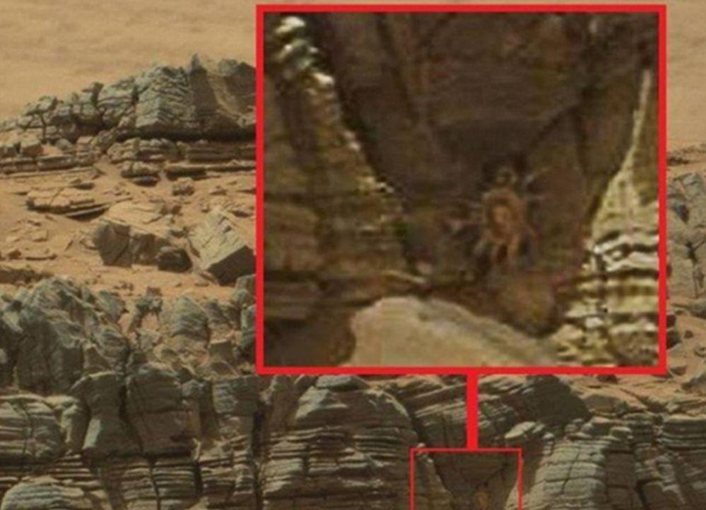 ‘Space Crab’ Captured in Mars Photo Probably Just Pareidolia