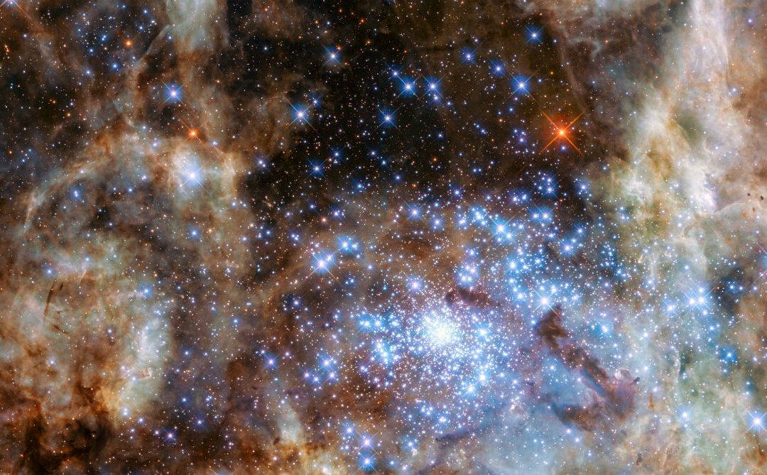 Hubble Spots Cluster of Monster Stars
