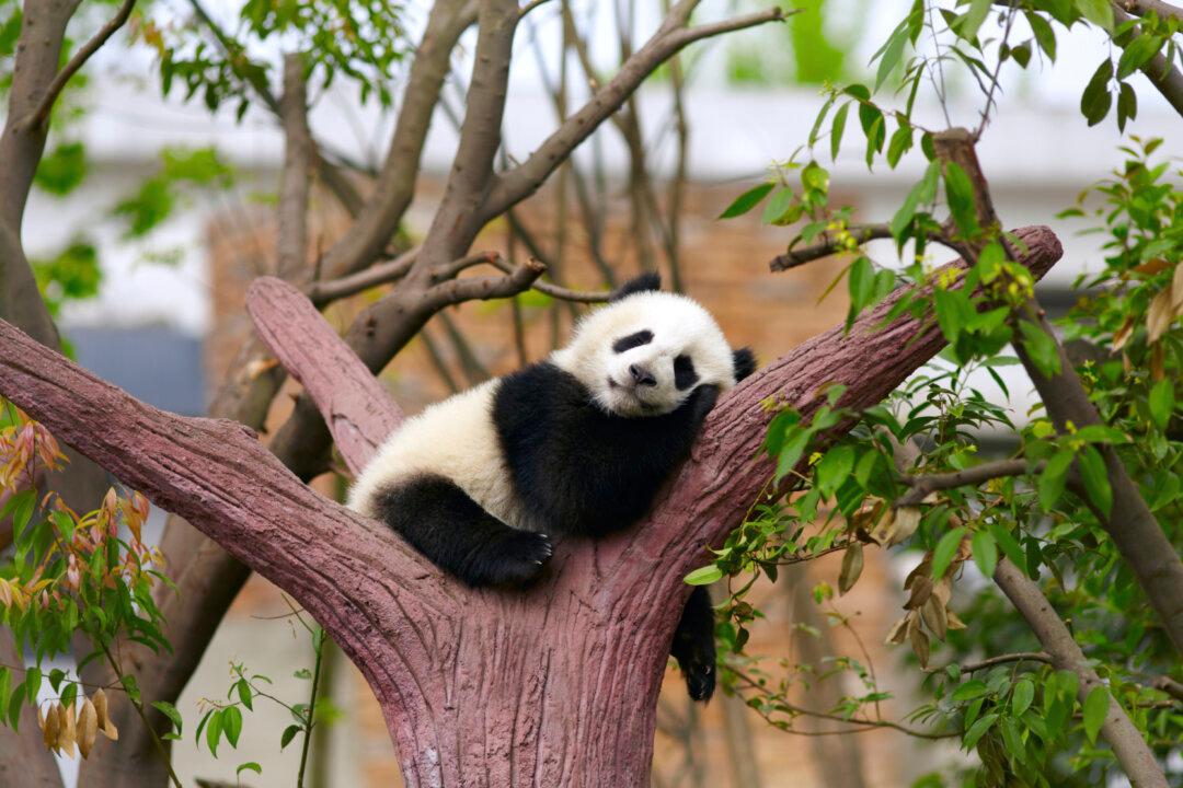 Chinese Medicine: Steps to Avoid That Burned-Out Feeling