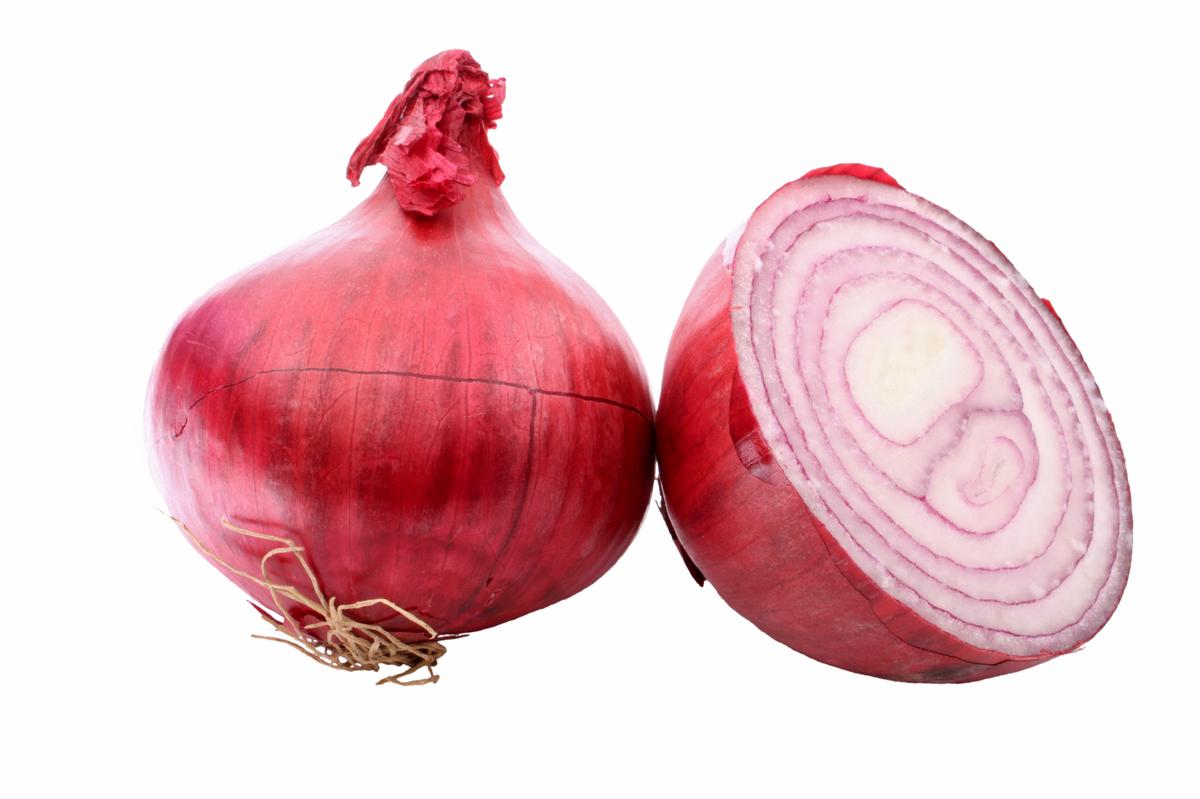 Are Leftover Onions Poisonous? Viral Warning Calls It A Sponge for Bacteria