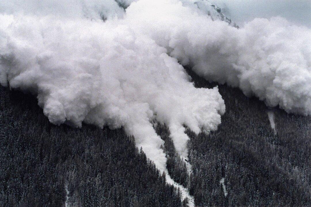 How to Best Survive Avalanches