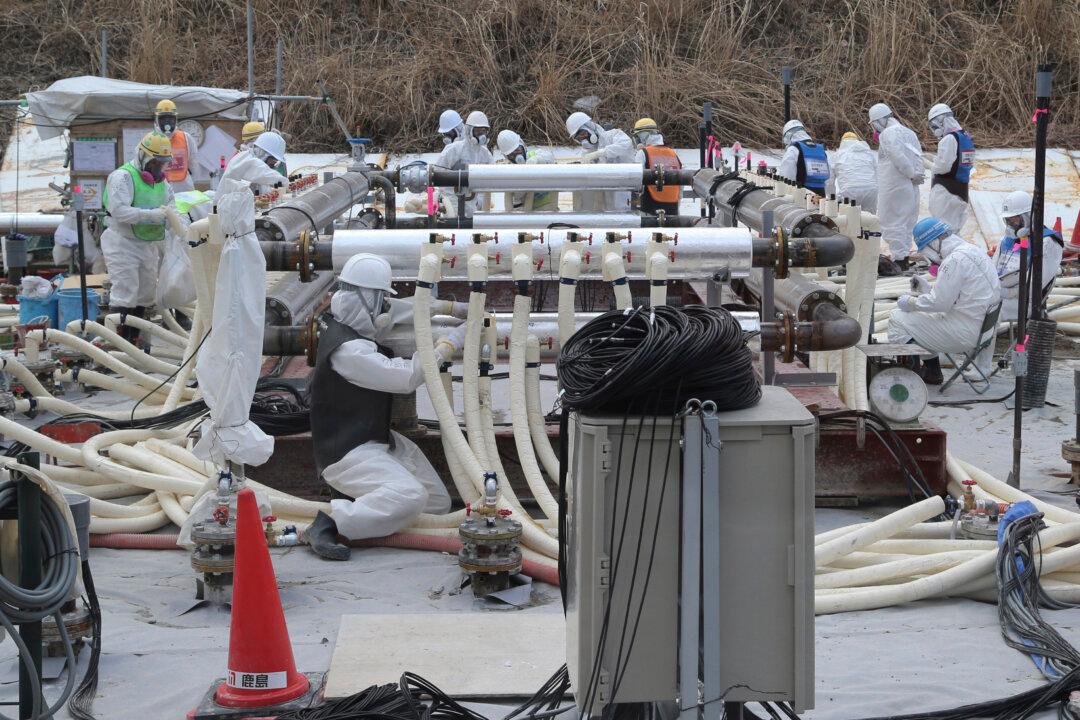 Ice Wall at Fukushima Plant Switched On, but Will It Work?