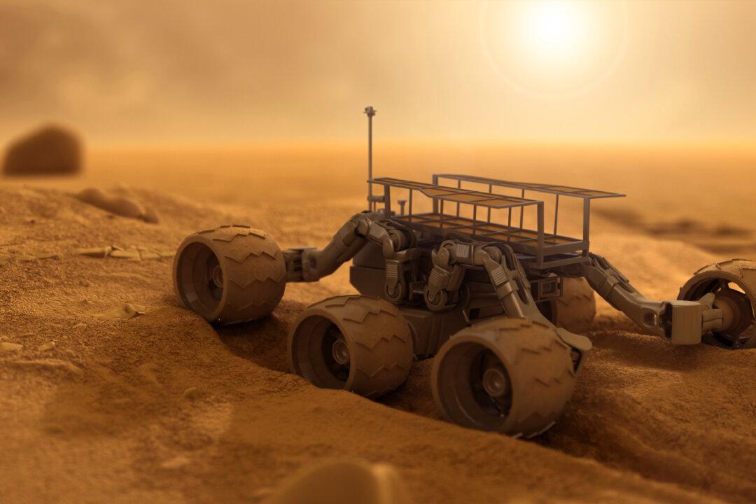 How Robot Explorers Are Making the Finds of the Future