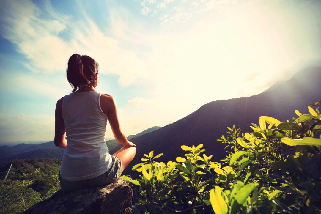 Book Review: ‘Restoring the Creation Mandate’