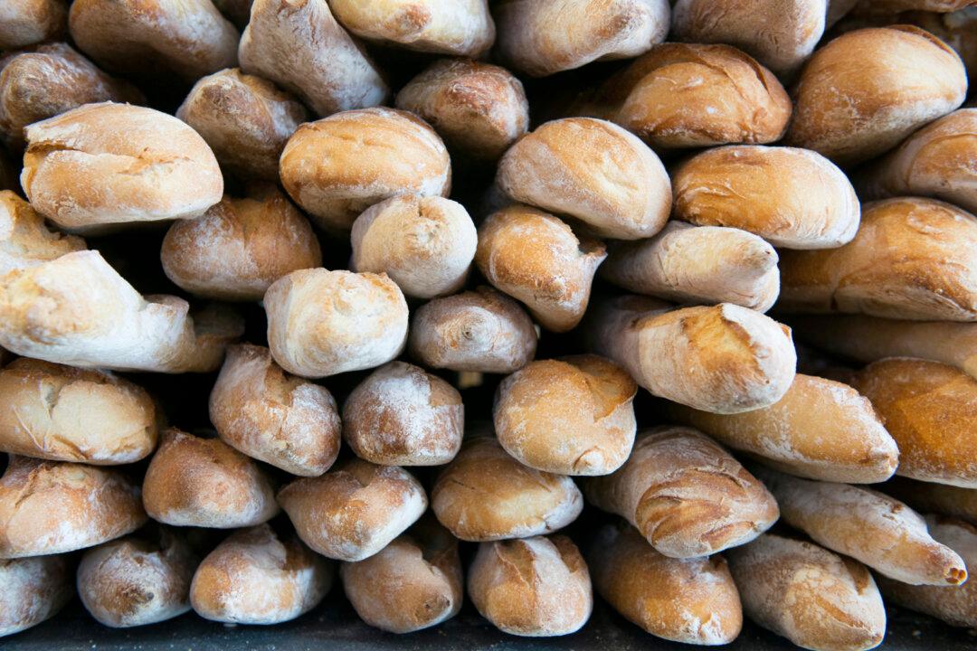 US Is a Land of Plenty, so Why Do Millions of Americans Still Go Hungry?