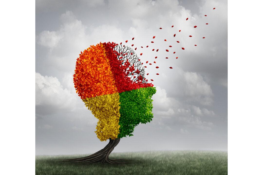 Study Links Overeating to Doubled Risk of Memory Loss