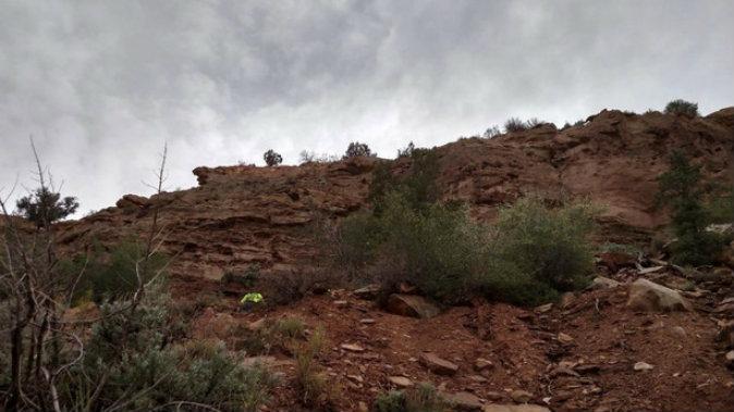 Dog Survives 300-Foot Fall After Leaping Off Cliff